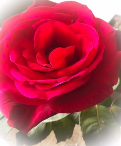 Printable projects from Pinterest.com/Inkjetstarinc