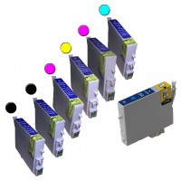 Remanufactured Epson inkjet cartridges (2 T048120 black,1 T048220 cyan, 1 T048320 magenta,  1 T048420 yellow, 1 T048520 light cyan and 1 T048620 light magenta)